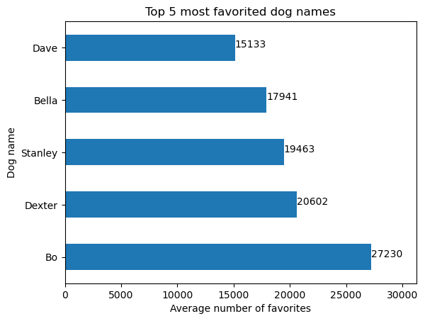 Average Favorites per Dog Name